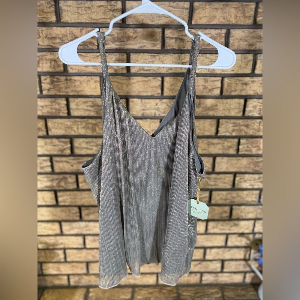 Nwt ryegrass blouse